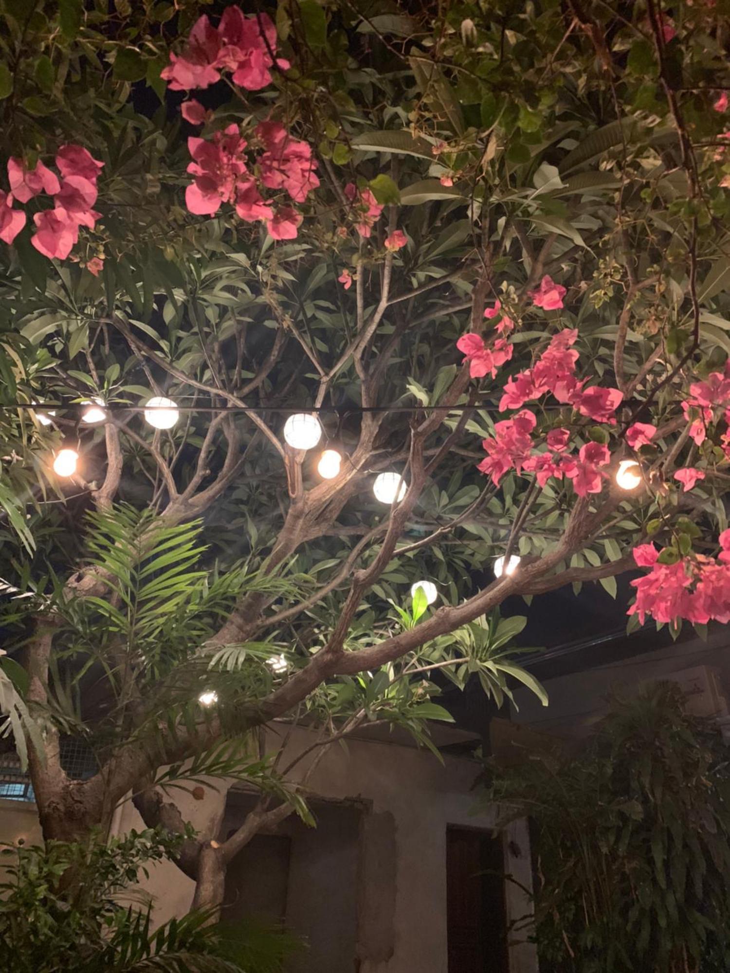 The Hub District Garden Suites Pasay Ngoại thất bức ảnh